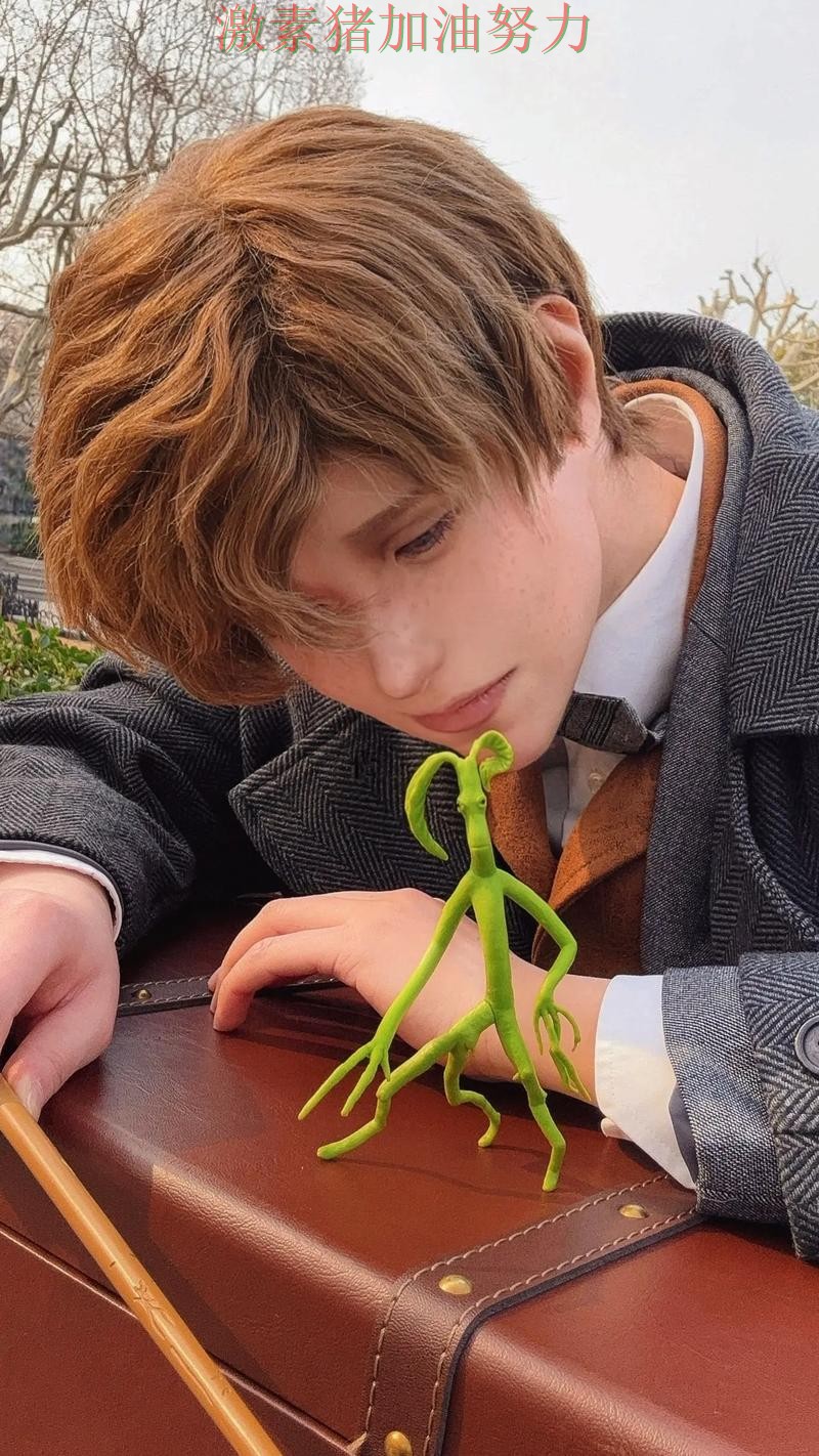 纽卡斯尔临危救主备受关注