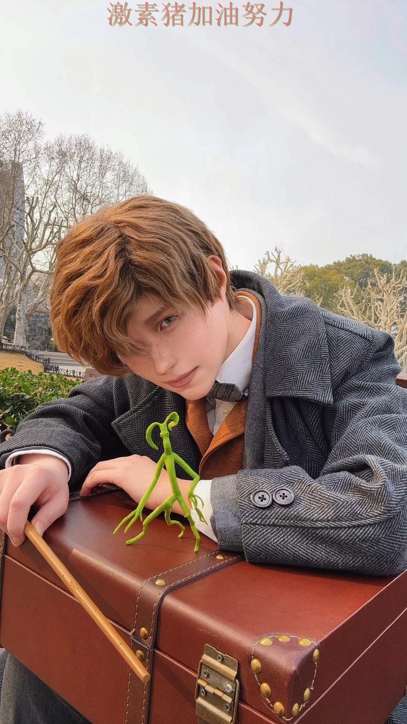 纽卡斯尔临危救主备受关注